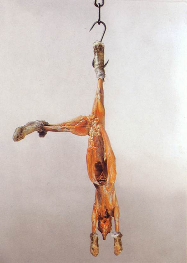 Immagine che contiene arte, gancio

Descrizione generata automaticamente